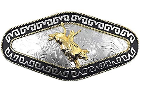 Western Cowboy/Cowgirl Gold Silver Metal Long Belt Buckles In Multi Symbol (Rodeo)